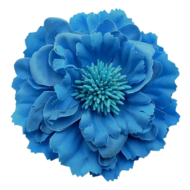 Mooie Haarbloem Blauw