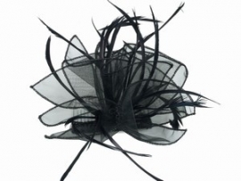 Volle Fascinator Zwart