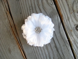 Witte Haarbloem met Kristallen