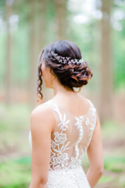 Kristallen Hairvine Goud