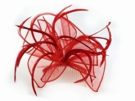 Volle Fascinator Rood