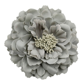 Mooie Haarbloem Grijs
