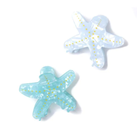 Haarklem Zeester Aqua