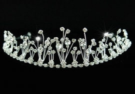 Decoratieve Tiara