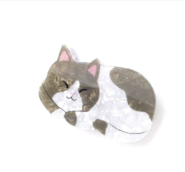 Haarklem Kat