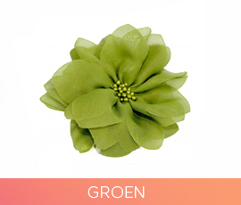 bloemen_07_groen.jpg