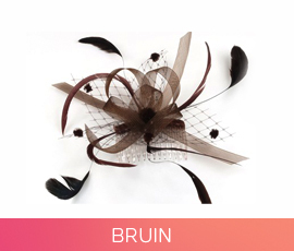 fascinators_11_bruin.jpg