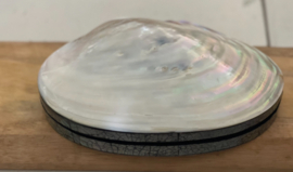 Oesterschelp sieradendoos