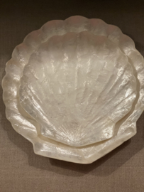 Capiz schelp schaaltjes