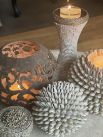 Waxinelicht van 🥥 kokosnoot