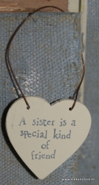 A sister is a special