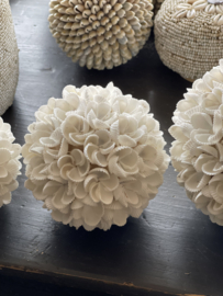 Witte schelp decoratie ballen