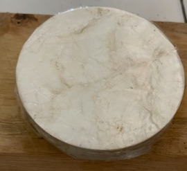 Onderzetter set Coasters capiz wit