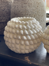 Witte slakken schelp waxinelichthouder
