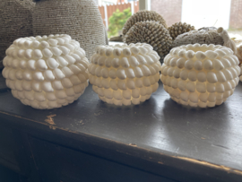 Witte slakken schelp waxinelichthouder