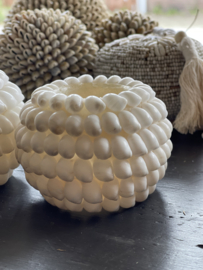 Witte slakken schelp waxinelichthouder