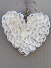 Hartje schelp bloem eenzijdig