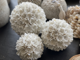 Witte schelp decoratie ballen