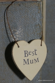 Wh2011 Best Mum...