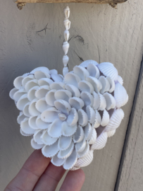 Hartje schelp bloem eenzijdig