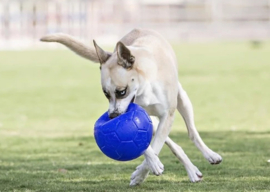 Jolly Soccer Ball 15cm Blauw