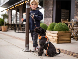 DOG Copenhagen Urban Rope Leash Oranje