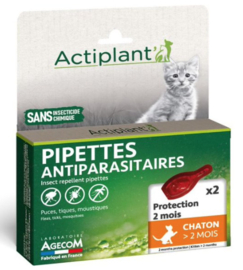 actiplant kitten