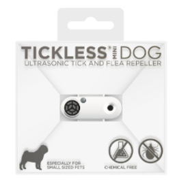 Tickless mini dog Wit