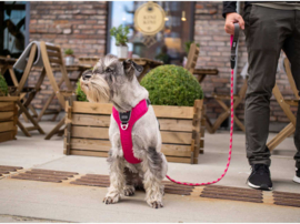 DOG Copenhagen Urban Rope Leash Roze