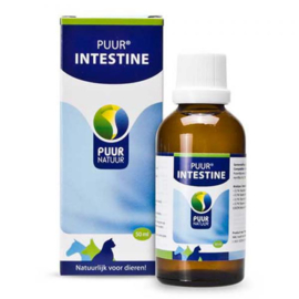 PUUR Intestine/Darm 50ml