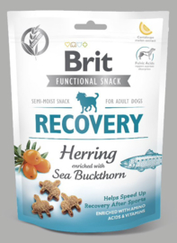 Brit Recovery Snack Semi Moist Herring (150gr)