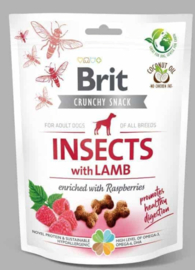 Crunchy Snack – Insects with Lamb