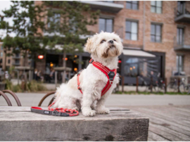 DOG Copenhagen Urban Rope Leash Rood