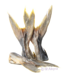 Akyra Kingfish staarten 250 gram