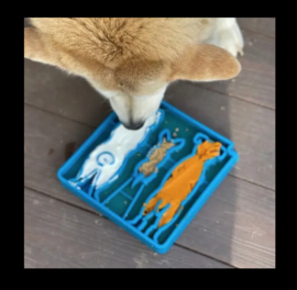 Sodapup Waiting Dogs Design Etray – Blue