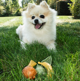 Garden Bites Fruity Friends 7 cm 18 stuks