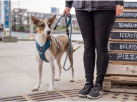 DOG Copenhagen Urban Rope Leash Blauw