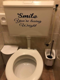 Toilet stickers