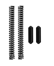 (1261s) AR-15 Pivot pin detent & spring 2pcs set