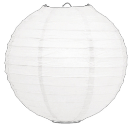 Witte lampionnen 65 cm