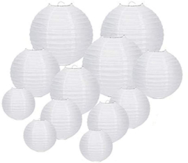 Witte lampion pakketten - Aanbieding!