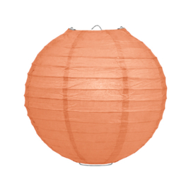 Lampion pakket 25 lampionnen pasteltinten