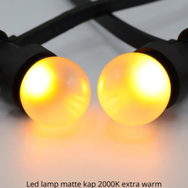 Prikkabel koppelbaar 25 meter inclusief 25 led lampen