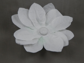 Waterlantaarn lotusbloem wit 30 cm