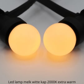 Prikkabel koppelbaar 25 meter inclusief 25 led lampen