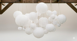 Witte lampionnen kopen