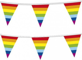 Vlaggenlijn regenboog vlaggetjes 10 meter
