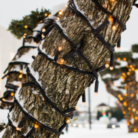 Boomverlichting met kerstlampjes voor buiten