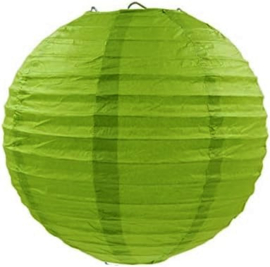Lampion pakket groen - 40 lampionnen