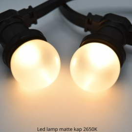 Prikkabel koppelbaar 25 meter inclusief 25 led lampen